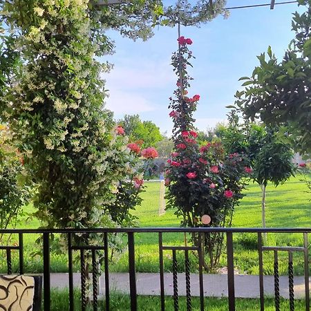 Room With Private Garden Shkodra Exterior foto