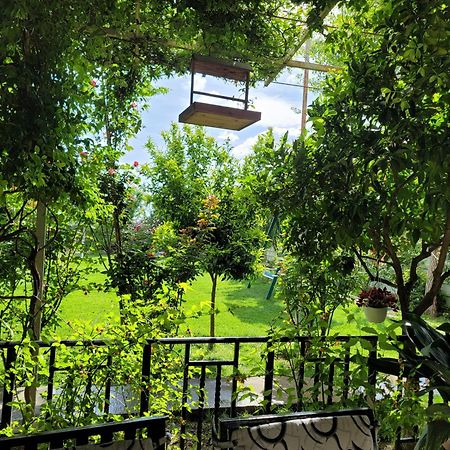Room With Private Garden Shkodra Exterior foto