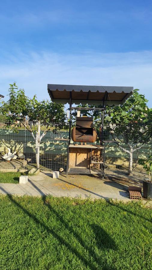 Room With Private Garden Shkodra Exterior foto