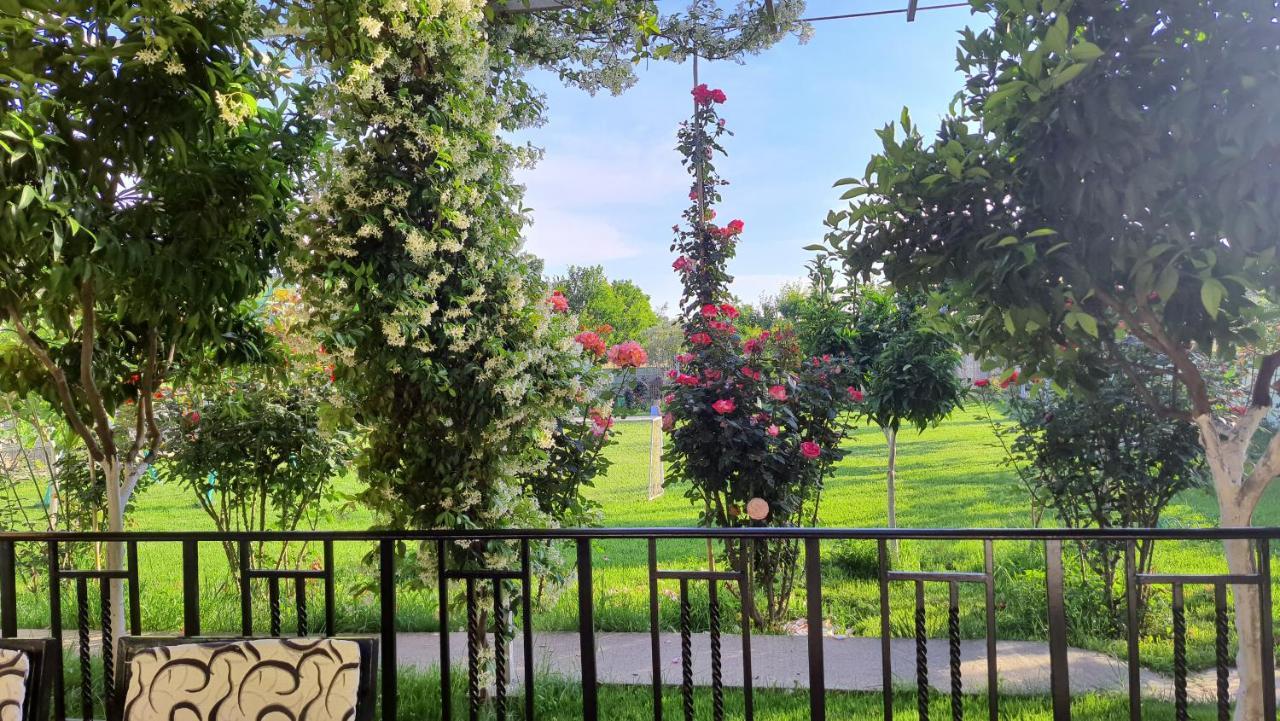 Room With Private Garden Shkodra Exterior foto